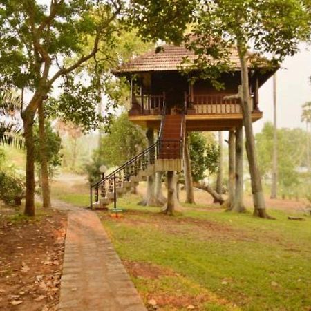 Isola Di Cocco Ayurvedic Beach Resort Poovar Eksteriør billede