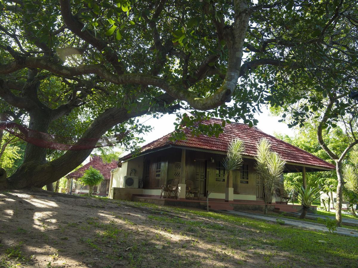 Isola Di Cocco Ayurvedic Beach Resort Poovar Eksteriør billede